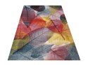 Dywan Casablanca 01 160 x 220 cm