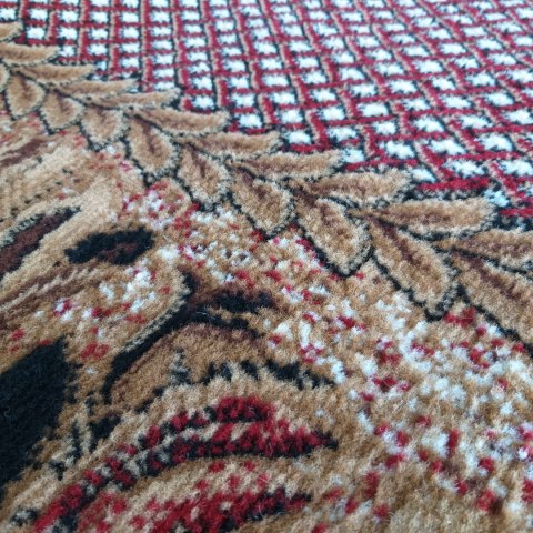 Dywan owalny BCF Alfa 01 czerwony 150 x 210 cm czerwony Dywan owalny BCF Alfa 01 czerwony 150 x 210 cm czerwony