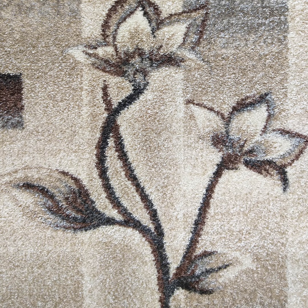 Dywan OTTO 02 Brązowy 240 x 330 cm Dywan OTTO 02 Brązowy 240 x 330 cm
