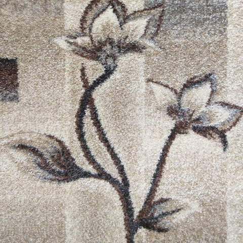 Dywan OTTO 02 Brązowy 240 x 330 cm Dywan OTTO 02 Brązowy 240 x 330 cm