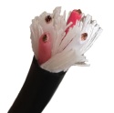 Canare 4S11G (OFC) przewód głośnikowy 4x2,15 mm² Kabel Made in Japan